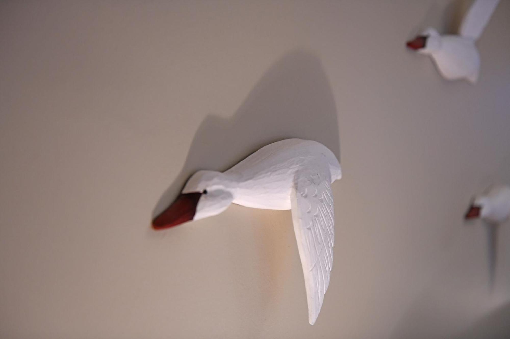 Seagulls' House Apartment Evdilos  Exterior photo